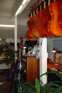 Violin shop right